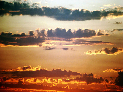 29486 (a): :1024x768
